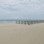 Appartamento Luz, A Pie De Playa